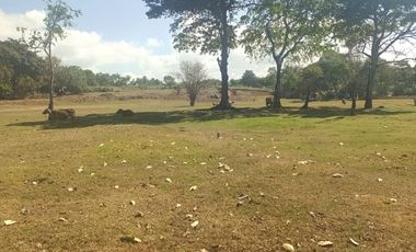 Freehold - Beachfront Land in Great Location Saba