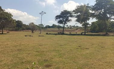 Freehold - Beachfront Land in Great Location Saba