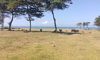 Freehold - Beachfront Land in Great Location Saba