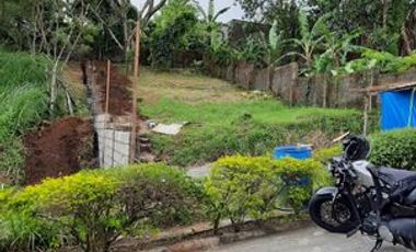 307 sqm Lot for Sale at City Land Green Heights Subdivision