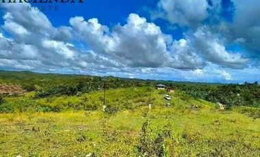For Sale 5 Years to Pay without Interest 1,000 Sqm Farm Lot in Tabunok, Tabuelan, Cebu,
