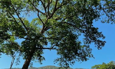 VENTA DE LOTE HACIENDA SAN JOSE , SAN JERONIMO