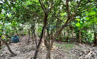 Terreno en venta en Catamayo sector Trapichillo