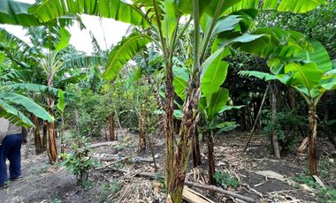 Terreno en venta en Catamayo sector Trapichillo