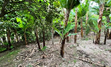 Terreno en venta en Catamayo sector Trapichillo