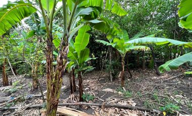 Terreno en venta en Catamayo sector Trapichillo