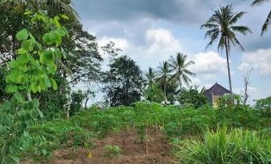 Tanah dijual di Jawa Timur, Surabaya