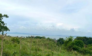 Residential Farm Lot For Sale in Pililla Rizal Near Windmill with Stunning View of Lake Perfect for Airbnb