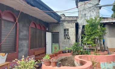 House with Rental Units For Sale ID 14856