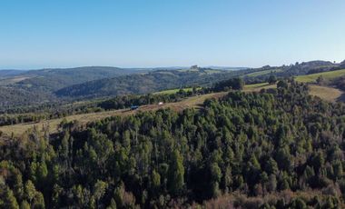 Campo en venta en Los Muermos de 25 hectáreas con abundante agua