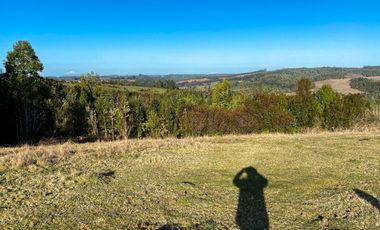 Campo en venta en Los Muermos de 25 hectáreas con abundante agua