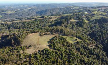 Campo en venta en Los Muermos de 25 hectáreas con abundante agua