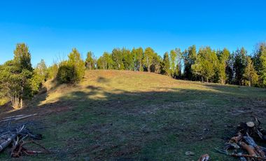 Campo en venta en Los Muermos de 25 hectáreas con abundante agua