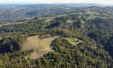 Campo en venta en Los Muermos de 25 hectáreas con abundante agua