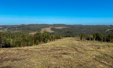 Campo en venta en Los Muermos de 25 hectáreas con abundante agua