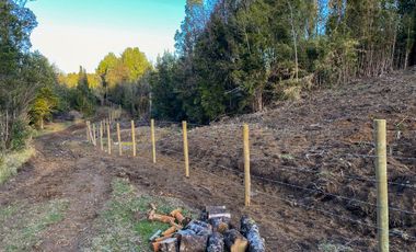 Campo en venta en Los Muermos de 25 hectáreas con abundante agua