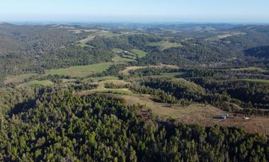 Campo en venta en Los Muermos de 25 hectáreas con abundante agua