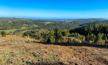 Campo en venta en Los Muermos de 25 hectáreas con abundante agua