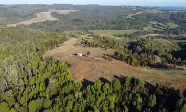 Campo en venta en Los Muermos de 25 hectáreas con abundante agua