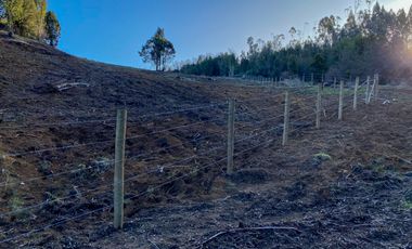 Campo en venta en Los Muermos de 25 hectáreas con abundante agua
