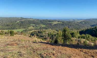 Campo en venta en Los Muermos de 25 hectáreas con abundante agua