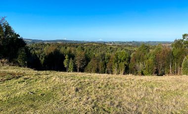 Campo en venta en Los Muermos de 25 hectáreas con abundante agua