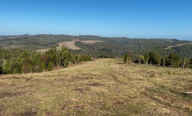Campo en venta en Los Muermos de 25 hectáreas con abundante agua