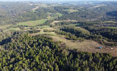 Campo en venta en Los Muermos de 25 hectáreas con abundante agua