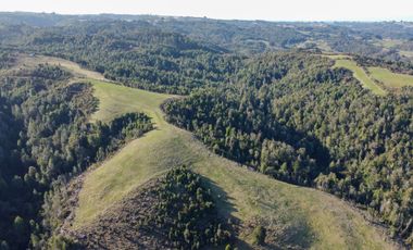 Campo en venta en Los Muermos de 25 hectáreas con abundante agua