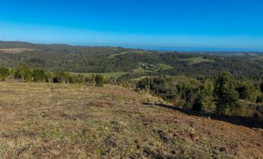 Campo en venta en Los Muermos de 25 hectáreas con abundante agua