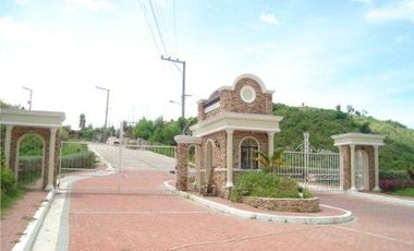 173 sqm Overlooking Residential lot for sale in Greenville Heights Consolacion Cebu