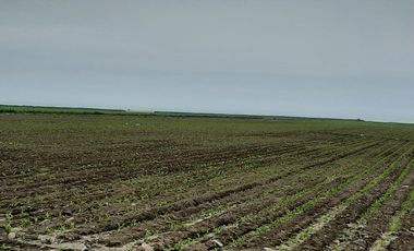 MEGAPUERTO CHANCAY TERRENO EN VENTA 35,000 m2