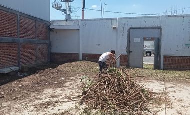 TERRENO EN RENTA EN AVENIDA LOS REYES