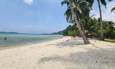 BEACHFRONT LOT IN SAN VICENTE, PALAWAN PHILIPPINES