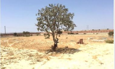 Terreno en Piura en Carretera del Sol (Piura-Sullana) Eriazo de 3 Has