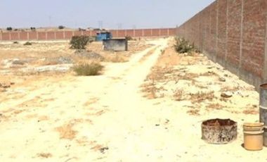 Terreno en Piura en Carretera del Sol (Piura-Sullana) Eriazo de 3 Has