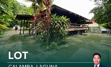 Huge Lot for Sale in Calamba Laguna UL001