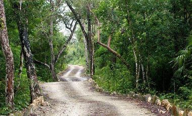 TERRENO EN VENTA EN ALDEA CORAL, CHEMUYIL