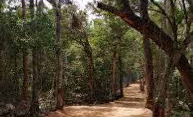 TERRENO EN VENTA EN ALDEA CORAL, CHEMUYIL