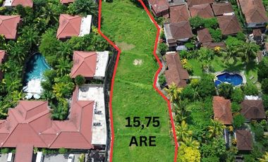 Land for lease in  suweta Ubud bali