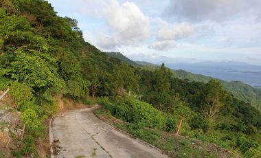 FOR SALE RESIDENTIAL FARM LOT OVERLOOKING TAAL