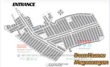 PAG-IBIG Rent to Own House Near St. Francis Subdivision Deca Meycauayan