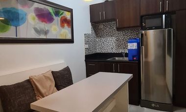 Stamford Residences Studio For Rent  & For Sale