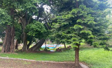 VENDO CASA COMO TERRENO EN CUERNAVACA, GRAN UBICACIÓN, ZONA FRESCA.