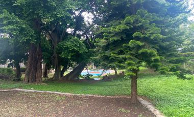 VENDO CASA COMO TERRENO EN CUERNAVACA, GRAN UBICACIÓN, ZONA FRESCA.