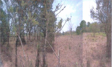 SE VENDE TERRENO RUSTICO ORIE-128