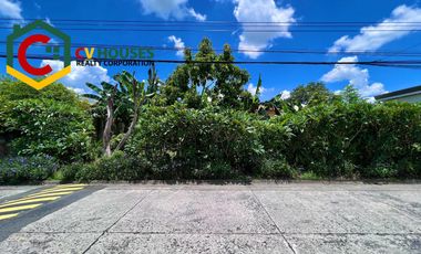 300 SQM LOT FOR SALE