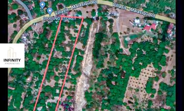 FOR SALE LOT IN PAGASINAN 1.6 HECTARES
