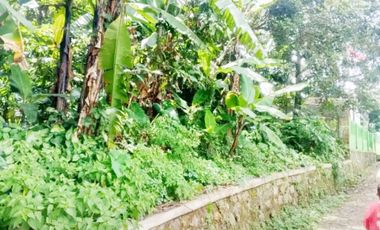 Jual Tanah 3.270 m2 di Karoncong Pandeglang Banten Dekat Kantor Desa Setrajaya