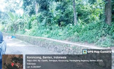 Jual Tanah 3.270 m2 di Karoncong Pandeglang Banten Dekat Kantor Desa Setrajaya